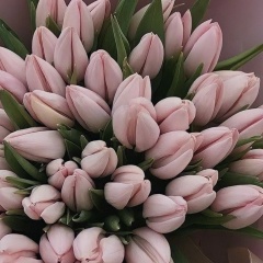 Жанна Зайкина, Мозырь