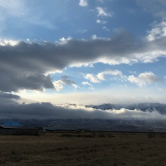 Аян Мерекенов, 13.11.1907, Washington, D.C.