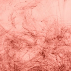 Николай Первых, 12.01, Ростов-на-Дону