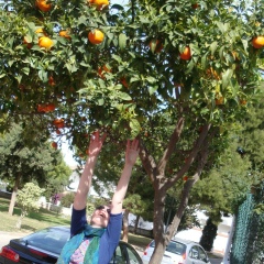 Вика Мацюк, 22.08.1983, Киев