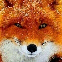 Ксения Титоход, 21.08, Москва