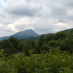 Фарм Гаджи, 22.09.1986, Махачкала