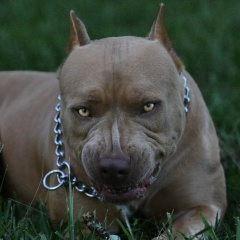 Иван Иванов, 01.01, Санкт-Петербург