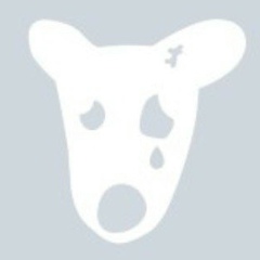 Серж Сергеев, Махачкала