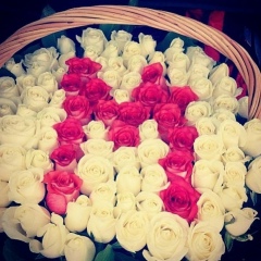 Меруерт Жанбирбаева, 12.11, Алматы