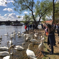 Марина Степаньянц, 28.08.1985, Ростов-на-Дону