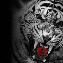 Евгений Серов, 19.10, Иркутск