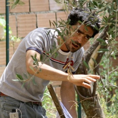 Paolo Tripodi, 14.02.1978, Roma