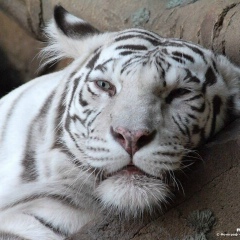 Павел Маслинков, 27.11.1986