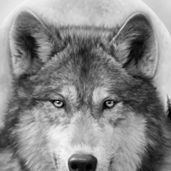 Виктор Данилов, Якутск