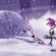 Мовла Тапаев, 29.05, Урус-Мартан