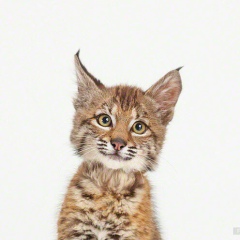 Дарья Макеева, 27.07, Москва