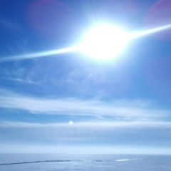 Александр Гольцов, 20.02, Санкт-Петербург