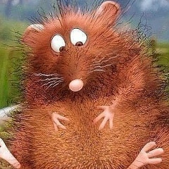 Мария Бойкова, 23.12.1982, Санкт-Петербург