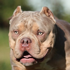 Юлия Востокова, 03.09, Москва