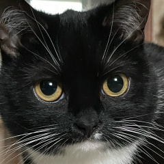 Виталий Кроликов, Москва