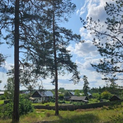 Евгений Ильин, 08.12.1984, Оренбург