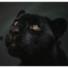 Ирина Самшеева, 30.06