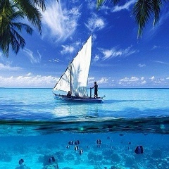 Татьяна Петрова, 15.12, Москва