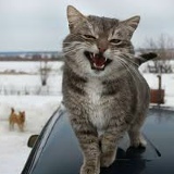 Дмитрий Рудаков, 01.12.1920, Москва