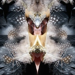 Александр Левицкий, 05.01, Одесса