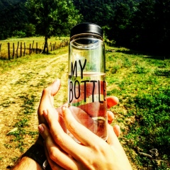 Гуджа Берадзе, 19.12