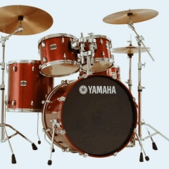 Александр Сурков