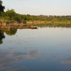 Руслан Скибінський, 02.09.1985, Ровно