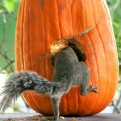 Оксана Цаплина, Мурманск