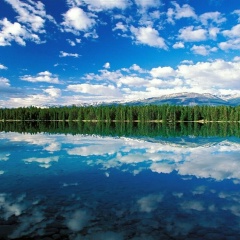 Наталья Д, 09.07