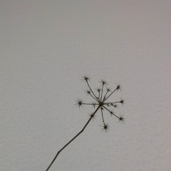 Марина Маринич, 07.07, Санкт-Петербург