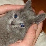 Юра Назаров