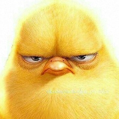 Куба Ня, 05.01.1991