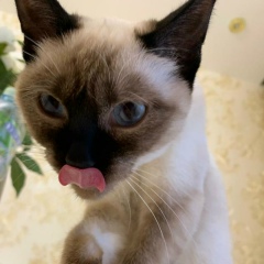 Михаил Александров, 31.01, Санкт-Петербург