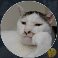 Дмитрий Батькович, Санкт-Петербург