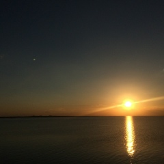 Расул Сапиев, Алматы