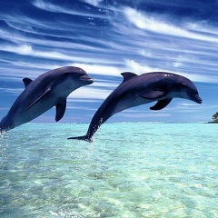 Галина Самарина, 09.09, Семей