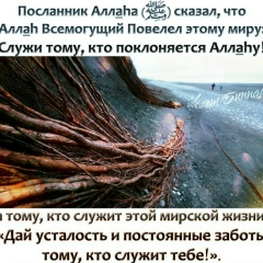 Марат Ямалтдинов