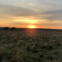 Екатерина Ягупова, 30.03, Звенигород