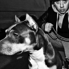 Est Cho, 01.02, Leuven