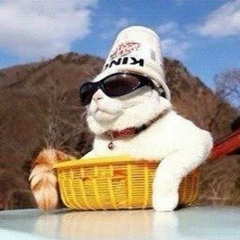 Алик Негодяев, 23.11, Kyōto