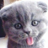 Ритона Грешнева, Москва