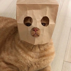 Эльдар Темикеев, 25.09.1999, Бишкек