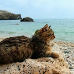 Света Некрасова, 13.07.1989, Москва