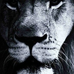 Zhan Kcto, 28.07, Астана