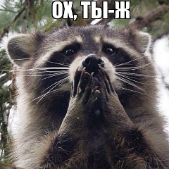 Саня Волынец, 30.10.1990, Полтава