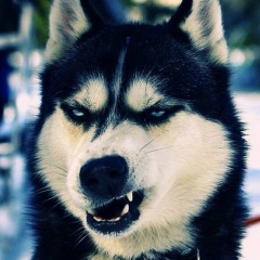 Алексей Красильников, 29.03, Москва