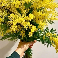 Юлия Юрик, Волгоград