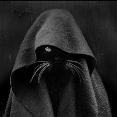 Дмитрий Вейсс, 06.09