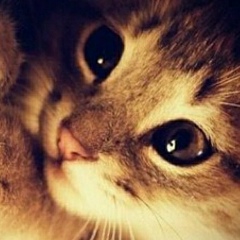 Екатерина Коваленко, 18.04